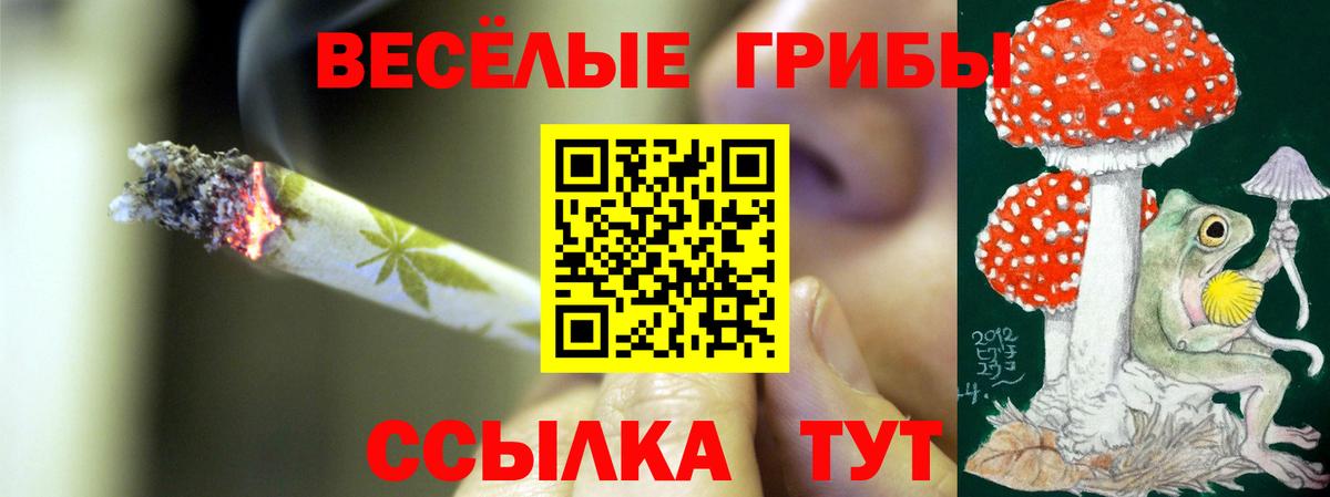 Благодарный  Галлюциногенные грибы мухоморы  Псилоцибиновые грибы мухоморы  Вход с VPN 