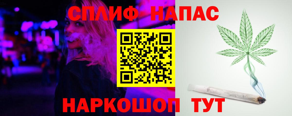 Канабис планчик Благодарный